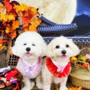 하률로12번길 이미지