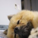 우정세탁 이미지