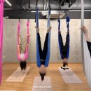 배트독 | 일지2] 독소를 빼고 멍과 도파민을 얻다? (파워빈야사, 필라테스, 하타요가, 유니버셜, 플라잉 요가 후기)