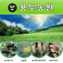 용두농원