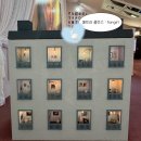 대림미술관 | 대림미술관 무료전시 가본 후기(실바니안 전시)