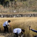 양지농원 이미지