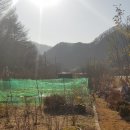 운주면(대전)