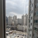 안양 의왕 군포 미세방충망 시공 후기 더촘촘한방충망 추천