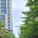 연호태권도장 이미지