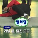 수중산책 | [스쿠버다이빙] 제주도 비양도 모자반 투어 후기(수중산책) (#50~53)