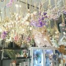 한스앤메이 이미지