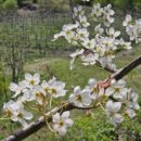 태봉리 경로당 이미지