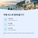 오징어천국 이미지