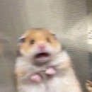 소소농장 이미지