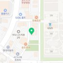 골드스타애견