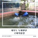 GS25 중앙한가온점 | [대부도 독채펜션] 서울인근 풀빌라 단체 여행 가능한 &#39;로마의 휴일&#39; 방문 찐 후기
