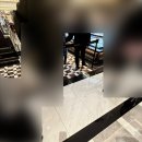 오고!24(oh!go24) | 쓰리타임즈 신세계 강남 팝업 / 샘플&amp;B급 세일 오픈런 후기