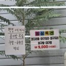 980 | 운동 후 꿀맛! 만수동 '한결통아구찜'에서 코다리찜 점심특선 후기