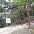 상학초등학교 이미지