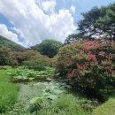 명옥헌원림2(입구) 이미지