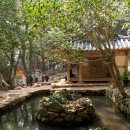 강진 바스락길 이미지