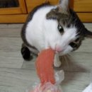 착한먹거리 이미지