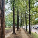 방아다리공원 화장실 이미지