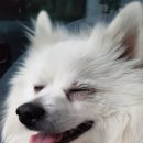 가남동물병원 이미지