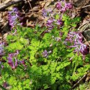 가곡쉼터 이미지