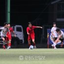 비비글로벌에프씨