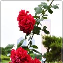 나루빌딩 이미지