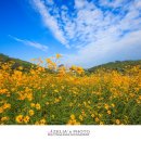 광산마을 이미지