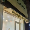 델라젬 이미지