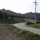 평창군 진부역 근처 펜션, 단독주택 부지 급매 이미지