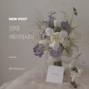 (주)메이앤 | [양재] 메이의시아 - 꽃집 사장님들이 찾는 그 클래스