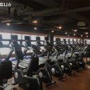 MM피트니스 이미지