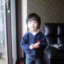 손톱물감