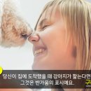 강아지가 주인에게 핥는 이유 1탄? 이미지