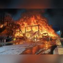 천안메추리농장 이미지