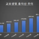 교보생명(리얼코) 이미지