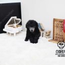 스마트실버 이미지