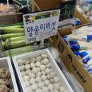 [가평 1박2일] 계곡이 있는 바베큐 캠핑장 &#34;달빛정원 글램핑&amp;카라반&#34; 내돈내산 솔직 후기