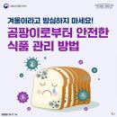 겨울철 곰팡이, 방심하지 마세요! 이미지