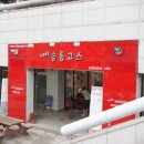 솔롱고스 이미지