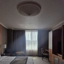파라다이스 골프레인지 내부 스크린골프장 | 서울 오크우드 프리미어 코엑스 센터 호캉스 추천 내돈내산 후기(+수영장, 스크린골프)