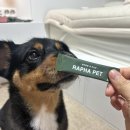 라파펫 | [강아지 유산균 추천] 장 건강·면역·변비까지 한 번에! 라파플러스 반려견유산균 솔직 후기🐶