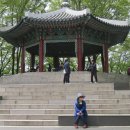 초록숲도서관 이미지