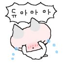 쩡이의세상이야기 이미지