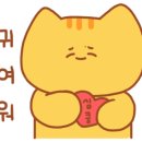 엘피여행 이미지