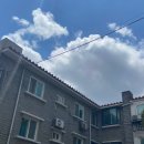 압구정로데오 탬버린즈 젠틀몬스터 도산 팝업스토어