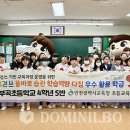 올바로 이미지