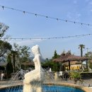 부산 강서구 강변 브런치카페 추천 비아조(VIAGGIO) 정원+브런치 완벽후기
