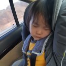 덕산온천타워호텔 이미지