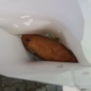 호떡공방 이미지